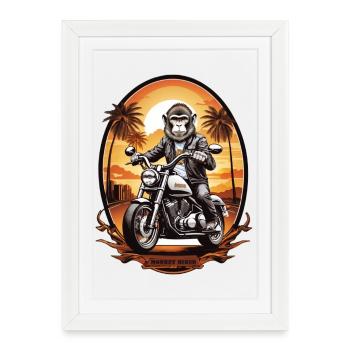 Monkey on motorcycle - Framed poster (27 × 37 cm) - white - Front