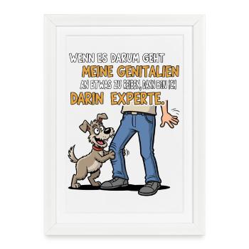 Chien expert en friction - Affiche encadrée (27 × 37 cm) - blanc - Devant