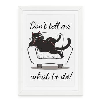 Midnight Cat sur le canapé - Affiche encadrée (27 × 37 cm) - blanc - Devant