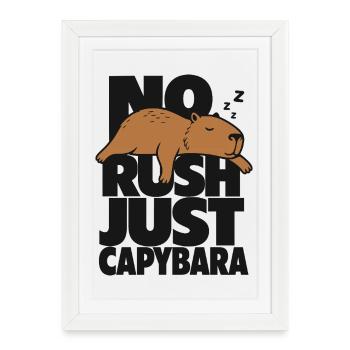 Pas d’urgence, juste du capybara - Affiche encadrée (27 × 37 cm) - blanc - Devant