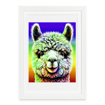 Alpaga - Affiche encadrée (27 × 37 cm) - blanc - Devant