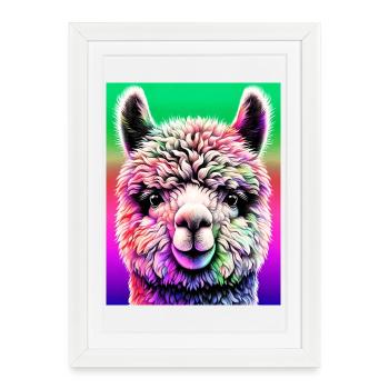 Alpaga - Affiche encadrée (27 × 37 cm) - blanc - Devant