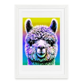 Alpaga - Affiche encadrée (27 × 37 cm) - blanc - Devant