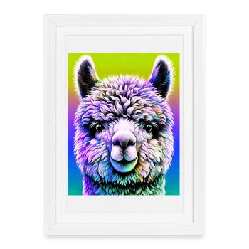 Alpaga - Affiche encadrée (27 × 37 cm) - blanc - Devant