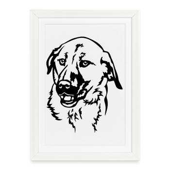 Tête de Kangal - Affiche encadrée (27 × 37 cm) - blanc - Devant