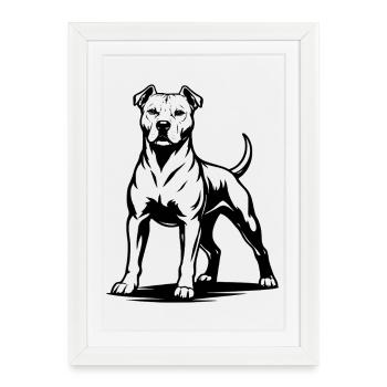 Pitbull Proud Pose - Affiche encadrée (27 × 37 cm) - blanc - Devant