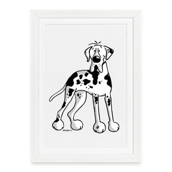 Dogue allemand - Grand Danois - Great Dane -Chien - Affiche encadrée (27 × 37 cm) - blanc - Devant