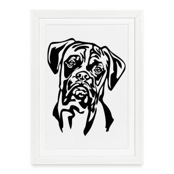 Tête de boxeur - Affiche encadrée (27 × 37 cm) - blanc - Devant