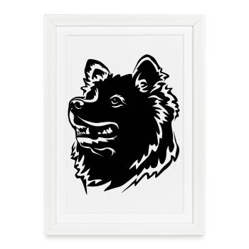 Tête de Samojede - Affiche encadrée (27 × 37 cm) - blanc - Devant