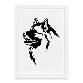 Tête de Wolfsspitz - Affiche encadrée (27 × 37 cm) - blanc - Devant