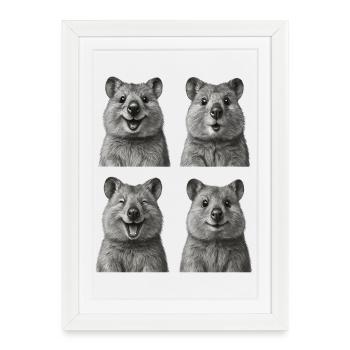 Quokkas heureux - Affiche encadrée (27 × 37 cm) - blanc - Devant