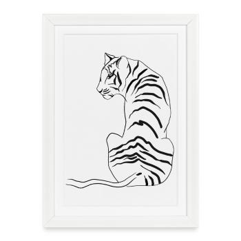 Tiger. - Framed poster (27 × 37 cm) - white - Front
