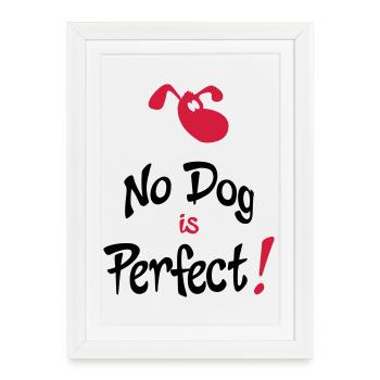 drôle de chien - Affiche encadrée (27 × 37 cm) - blanc - Devant