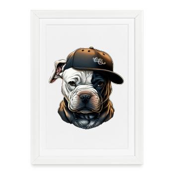 Bulldog Casquette Urbaine - Affiche encadrée (27 × 37 cm) - blanc - Devant