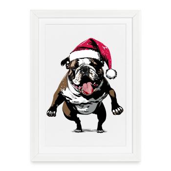 Bouledogue drôle avec chapeau de Père Noël - Affiche encadrée (27 × 37 cm) - blanc - Devant