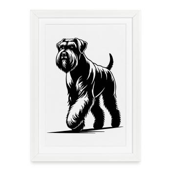 Giant Schnauzer - Framed poster (27 × 37 cm) - white - Front