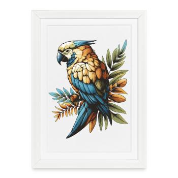 Perroquet - Affiche encadrée (27 × 37 cm) - blanc - Devant