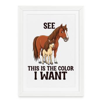 Humour Cheval Cavalier Équitation - Affiche encadrée (27 × 37 cm) - blanc - Devant