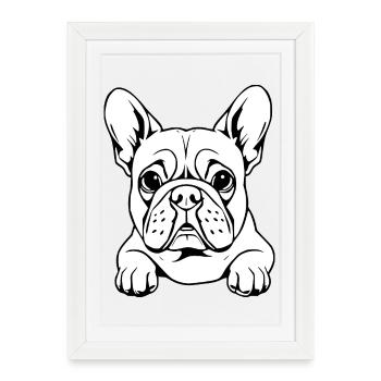 Bouledogue blanc - Affiche encadrée (27 × 37 cm) - blanc - Devant