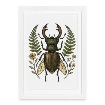 Feuillage du cerf Scarabée - Affiche encadrée (27 × 37 cm) - blanc - Devant