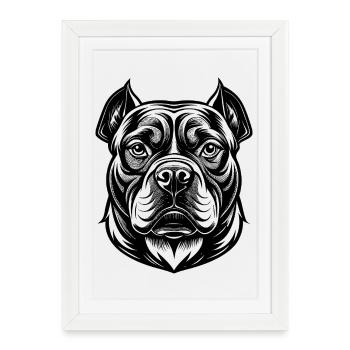 American Bulldog - Affiche encadrée (27 × 37 cm) - blanc - Devant