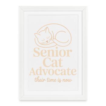 Senior Cat Advocate - Framed poster (27 × 37 cm) - white - Front