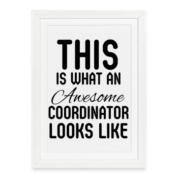 Coordinator Coworker Admin Manager Gift - Framed poster (27 × 37 cm) - white - Front