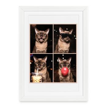 Cats Burma Cat - Framed poster (27 × 37 cm) - white - Front