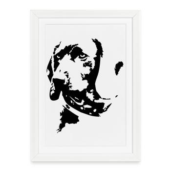Bayerischer Gebirgsschweißhund Kopf - Gerahmtes Poster (27 × 37 cm) - Weiß - Vorne