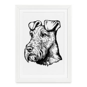 Portrait de Terrier Irlandais Mailo 2023 - Affiche encadrée (27 × 37 cm) - blanc - Devant