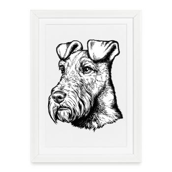 Portrait de Terrier Irlandais Mailo 2023 noir - Affiche encadrée (27 × 37 cm) - blanc - Devant