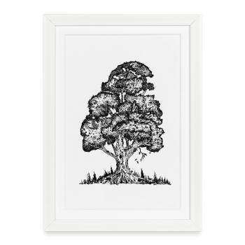 MJR - Black Tree - Framed poster (27 × 37 cm) - white - Front