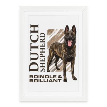 Berger hollandais - Dutchie - Affiche encadrée (27 × 37 cm) - blanc - Devant