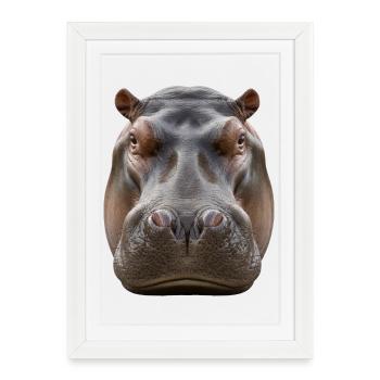 Portrait détaillé de l’hippopotame Design de la faune - Affiche encadrée (27 × 37 cm) - blanc - Devant