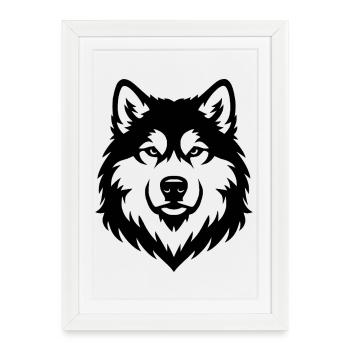 Schwaz malamute d’Alaska - Affiche encadrée (27 × 37 cm) - blanc - Devant
