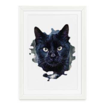 black cat chat noir - Affiche encadrée (27 × 37 cm) - blanc - Devant