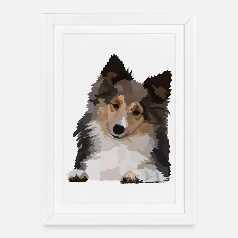 Dani, le Sheltie - Affiche encadrée (27 × 37 cm) - blanc