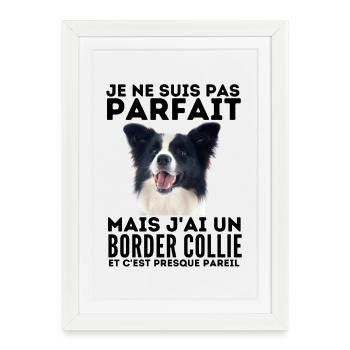 je ne suis pas parfait mais j ai un border collie - Affiche encadrée (27 × 37 cm) - blanc - Devant