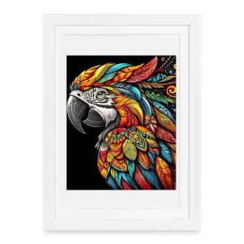 Perroquet - Affiche encadrée (27 × 37 cm) - blanc - Devant