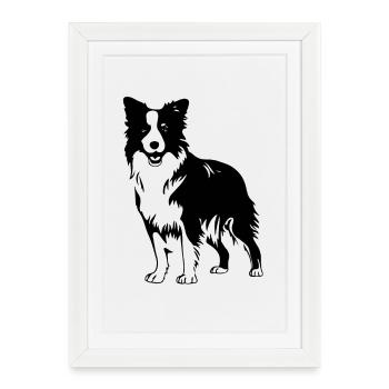 Border collie - Framed poster (27 × 37 cm) - white - Front