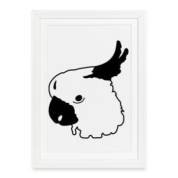 Perroquet - Affiche encadrée (27 × 37 cm) - blanc - Devant
