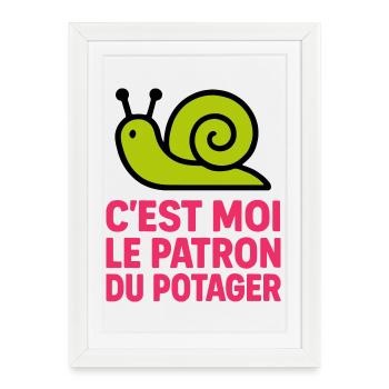 C'est Moi le Patron du Potager : Design Escargot - Affiche encadrée (27 × 37 cm) - blanc - Devant