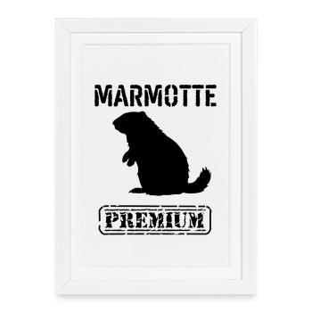 Marmotte premium  - Affiche encadrée (27 × 37 cm) - blanc - Devant