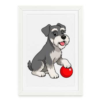 Image joyeuse d’un schnauzer avec une balle rouge - Affiche encadrée (27 × 37 cm) - blanc - Devant