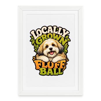 Havanese - Framed poster (27 × 37 cm) - white - Front