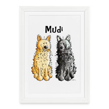 Deux Mudi - Affiche encadrée (27 × 37 cm) - blanc - Devant