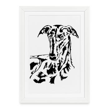 Tête de Galgo - Affiche encadrée (27 × 37 cm) - blanc - Devant