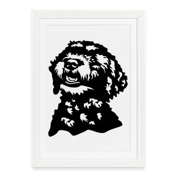 Tête Lagotto Romagnolo - Affiche encadrée (27 × 37 cm) - blanc - Devant