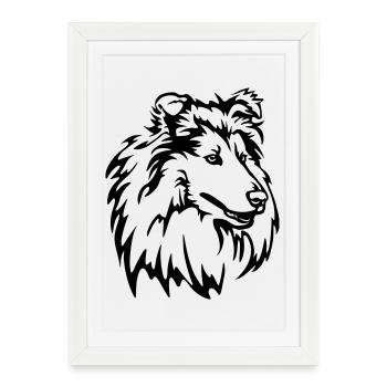 Collie Head - Framed poster (27 × 37 cm) - white - Front