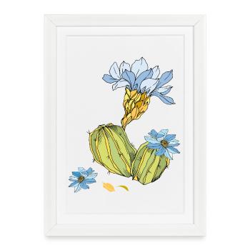 Cactus with flowers - Framed poster (27 × 37 cm) - white - Front